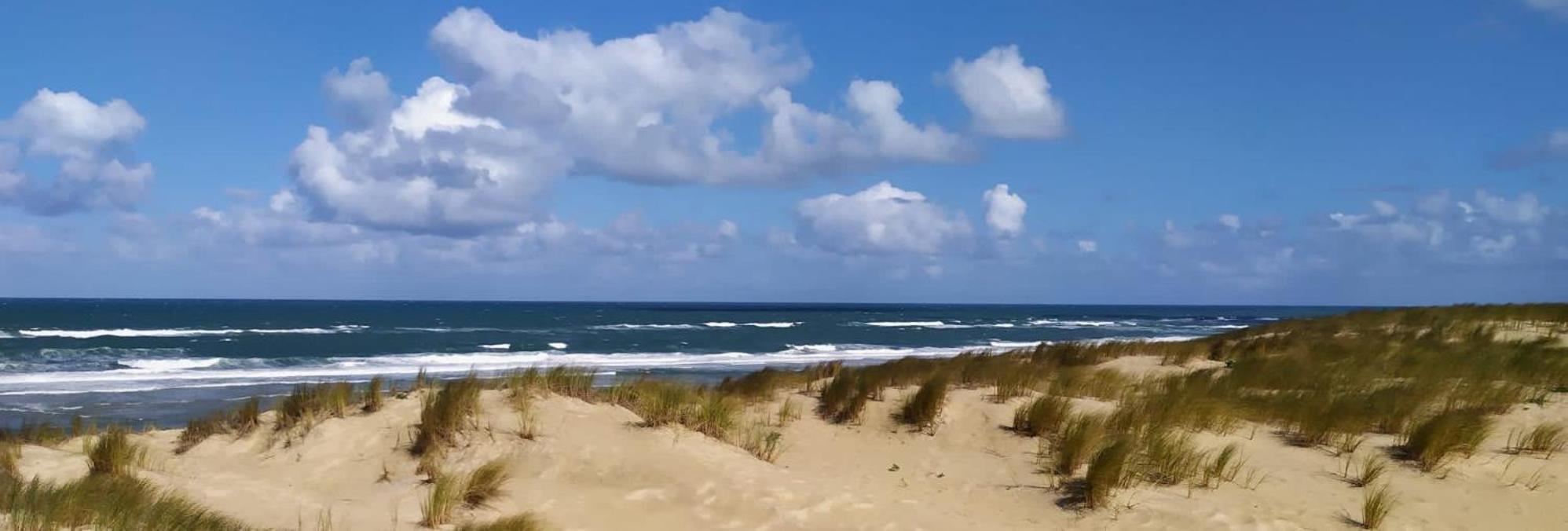 Charme & Confort- Les Cottages Du Bassin D'Arcachon- Petit-Dejeuner Sur Demande - Nuitee, Court Sejour, Semaine 居让梅斯特拉 外观 照片