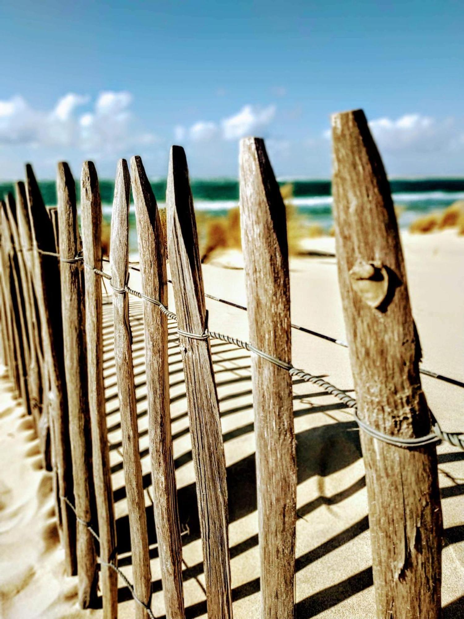 Charme & Confort- Les Cottages Du Bassin D'Arcachon- Petit-Dejeuner Sur Demande - Nuitee, Court Sejour, Semaine 居让梅斯特拉 外观 照片